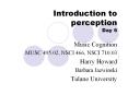 Introduction to perception Day 6 PowerPoint PPT Presentation