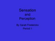Sensation and Perception