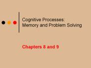Cognitive Processes: Memory and Problem Solving
