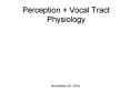 Perception   Vocal Tract Physiology PowerPoint PPT Presentation