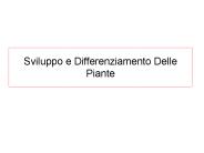 Sviluppo e Differenziamento Delle Piante