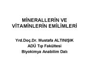 MINERALLERIN VE VITAMINLERIN EMILIMLERI