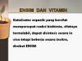 ENSIM DAN VITAMIN PowerPoint PPT Presentation