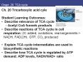 Chapt. 20 TCA cycle PowerPoint PPT Presentation