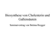Biosynthese von Cholesterin und Gallens