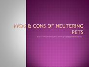 How Dogs Teach Human