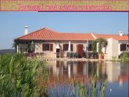 Portugal real estate companies