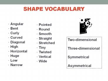 SHAPE VOCABULARY 
