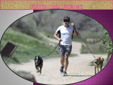 Fairfax Dog Trainers