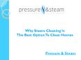 Why Steam Cleaning Is The Best Option To Clean Homes PowerPoint PPT Presentation