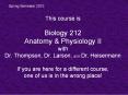 This course is  Biology 212 Anatomy PowerPoint PPT Presentation