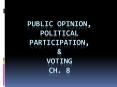 Public Opinion, Political Participation, PowerPoint PPT Presentation