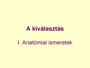A%20kiv