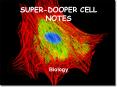 SUPER-DOOPER%20CELL%20NOTES PowerPoint PPT Presentation