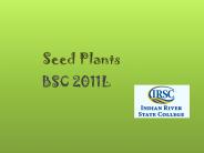 Seed Plants