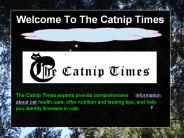 Important Tips for Cat Owner