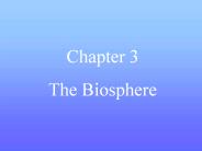The Biosphere