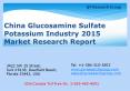 China Glucosamine Sulfate Potassium Industry 2015 Market Size Share Growth Forecast Research and Development PowerPoint PPT Presentation