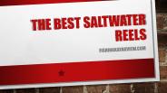 The Best Saltwater Reels