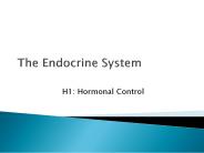 The Endocrine System