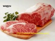 wagyu japanese cattle kobe beef