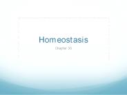 Homeostasis