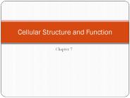 Cellular%20Structure%20and%20Function