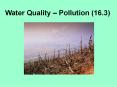 Water Quality  PowerPoint PPT Presentation