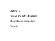 Passive and active transport