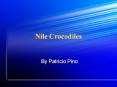 Nile Crocodiles PowerPoint PPT Presentation