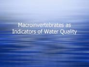 Macroinvertebrates as Indicators of Water Quality