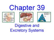 Digestive and Excretory Systems