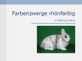 Farbenzwerge rh PowerPoint PPT Presentation