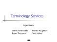 Terminology Services PowerPoint PPT Presentation