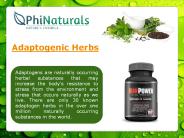 Adaptogen Supplement