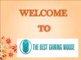 Choose the best Wireless Gaming Mouse PowerPoint PPT Presentation