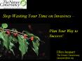 Stop Wasting Your Time on Invasives  PowerPoint PPT Presentation
