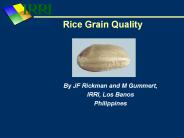 Rice%20Grain%20Quality