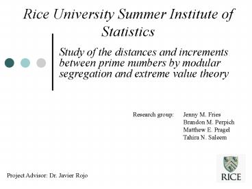 Rice University Summer Institute of Statistics
