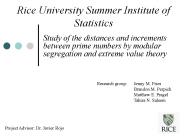 Rice University Summer Institute of Statistics