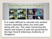 Pet Movers Singapore