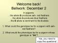Welcome back! Bellwork: December 2  In pigeons:  PowerPoint PPT Presentation