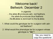 Welcome back! Bellwork: December 2  In pigeons: 