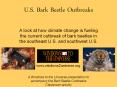 U.S. Bark Beetle Outbreaks PowerPoint PPT Presentation