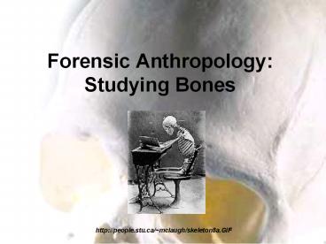 Forensic Anthropology: Studying Bones
