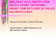 BIOLOGICALLY MOTIVATED OSCILLATORY NETWORK MODEL FOR DYNAMICAL IMAGE SEGMENTATION