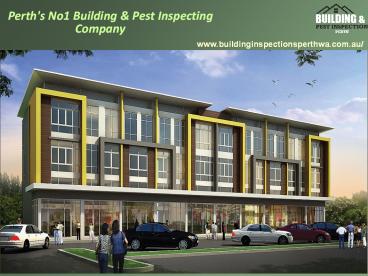 Termite Inspection Perth