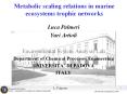 Metabolic scaling relations in marine ecosystems trophic networks PowerPoint PPT Presentation