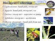 Bio-agent Collection