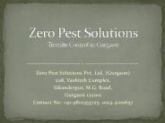 Termite Control in Gurgaon (1)